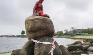 下水道的美鱼人照片 下水道的美鱼人照片